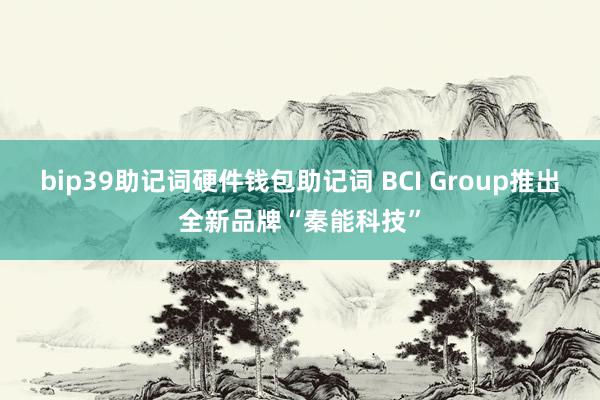 bip39助记词硬件钱包助记词 BCI Group推出全新品牌“秦能科技”